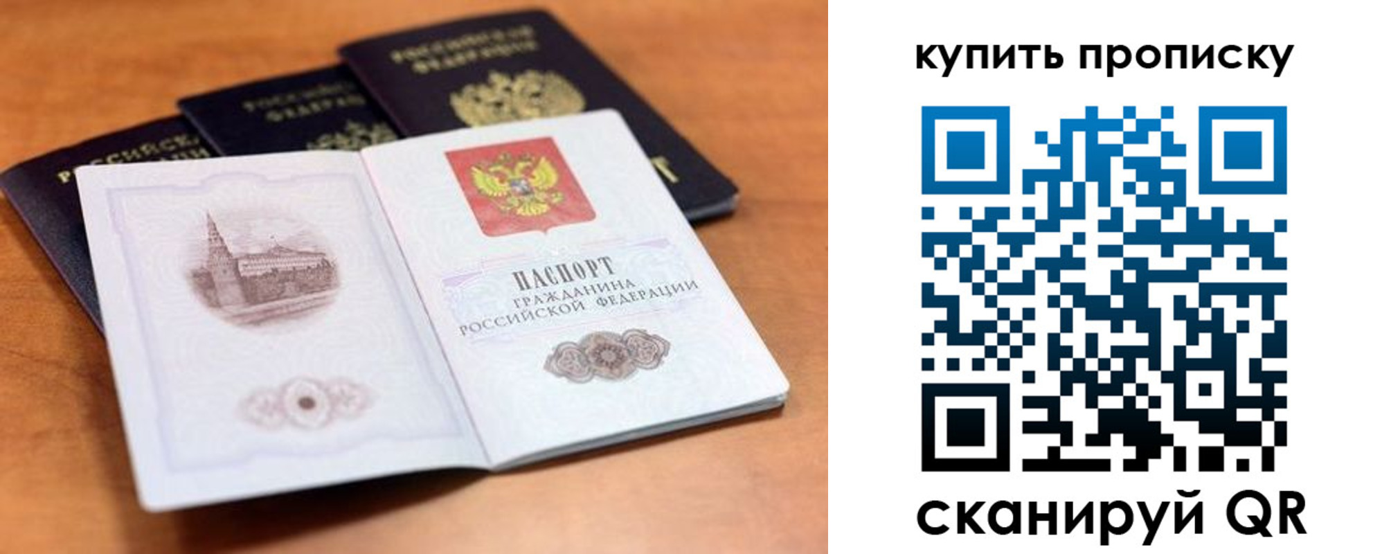 прописка для школы в Коряжме